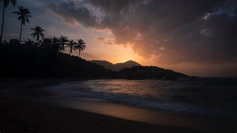 Wallpaper Ocean Palm Trees Sunset Shore Night Tropics