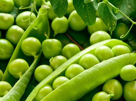 Nutritional Facts And Health Advantages Of Green Peas Latest B2b News