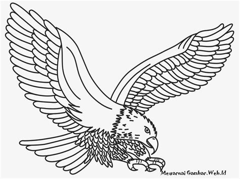 Gambar Burung Garuda Anak Tk : Sketsa Burung Garuda Untuk Anak Tk | Semburat Warna : Untuk