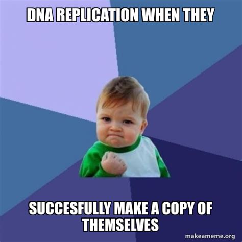 Dna Replication When They Succesfully Make A Copy Of Themselves