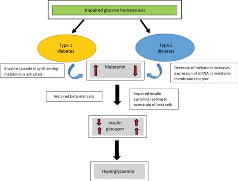 Melatonin, the hormone of darkness: The role of melatonin in glucose homeostasis. T1DM ...
