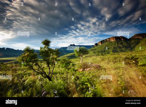 The Ampitheatre Royal Natal National Park Drakensberg Mountains