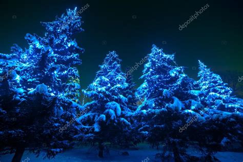 Snow Covered Christmas Tree Lights In A Winter Forest By Night — Stock