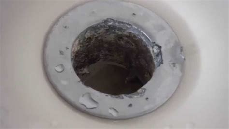 Removing a bathtub drain is a straightforward beginner task, especially once you identify the type of tub drain and stopper you have. how to remove a corroded bathtub drain - YouTube