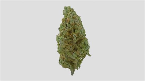 Cannabis Bud Stardawg Model Turbosquid 1547752