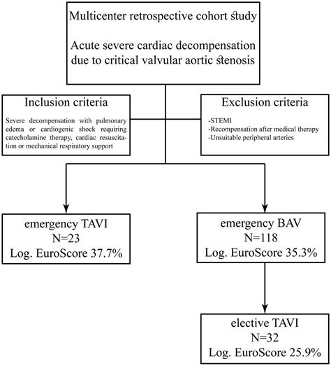 Emergency Treatment Of Decompensated Aortic Stenosis Heart