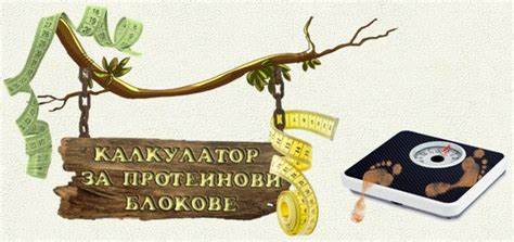 Белок в диета