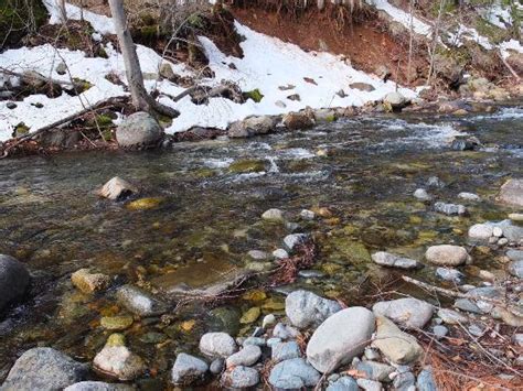 See 18 traveler reviews, 13 candid photos, and great deals for ripple creek cabins, ranked #2 of 8 specialty lodging in trinity center and rated 5 of 5 at tripadvisor. Ripple Creek Cabins - UPDATED 2017 Campground Reviews ...