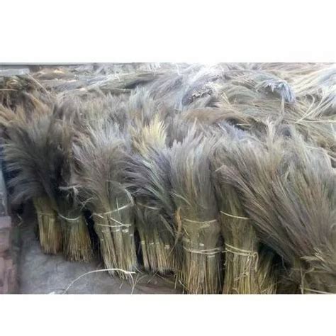 Grass Broom At Rs 30piece In Kolkata Id 24473069097