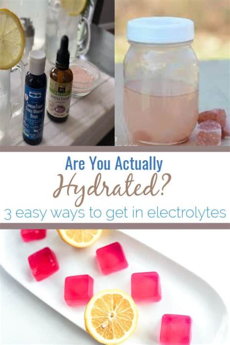 Selecting plants that attract hummingbirds. Are you actually hydrated? (With images) | Creative food ...