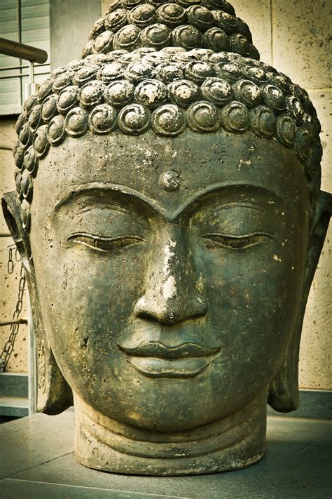 무료 이미지 기념물 동상 반사 상징 불교 종교 아시아 영적인 무화과 미술 신전 신앙 머리 기대 영감