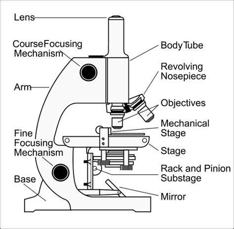 16 Best Images Of Simple Microscope Labeling Worksheet Compound Light