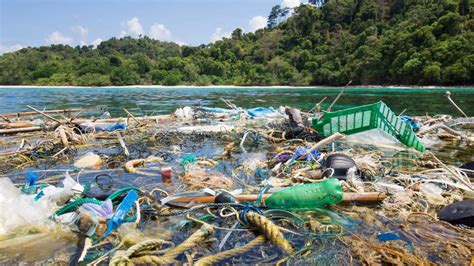 Ilhas de plástico veja os desafios da preservação ambiental