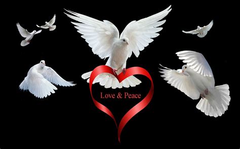 900 x 727 png 1363 кб. Love Peace Hd Desktop Background : Wallpapers13.com