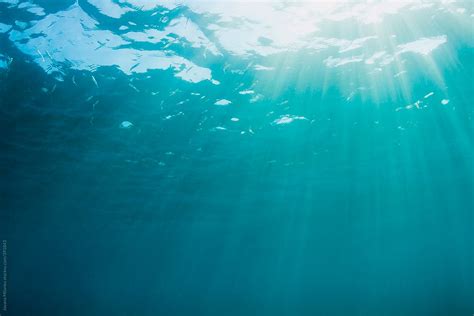 Ocean Surface With Sunlight Underwater By Jovana Milanko Stocksy United