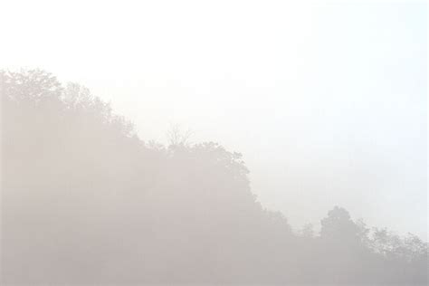 Francie Lyshak Morning Mist Tan 2012 Available For Sale Artsy