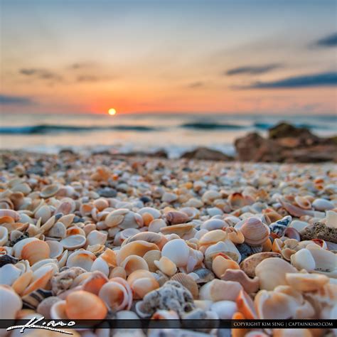 Sunrise With Shells At Beach Hdr Photography By Captain Kimo
