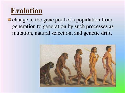 Ppt Anthropology Powerpoint Presentation Free Download Id6890046