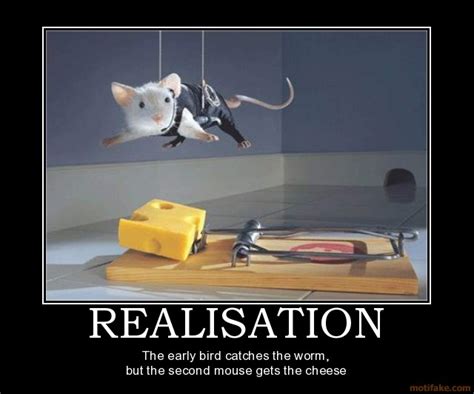 Funny Quotes About Mice Quotesgram