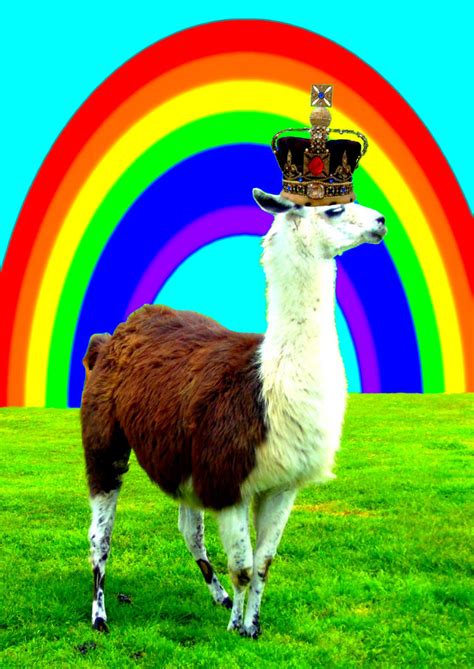 King Llama By Optilux On Deviantart