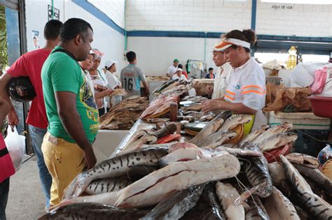 Check spelling or type a new query. Gastronomía "santa" - El Pilón | Noticias de Valledupar ...
