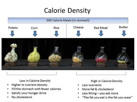 What Is Calorie Density Plant Based Nutrition Lifestyle