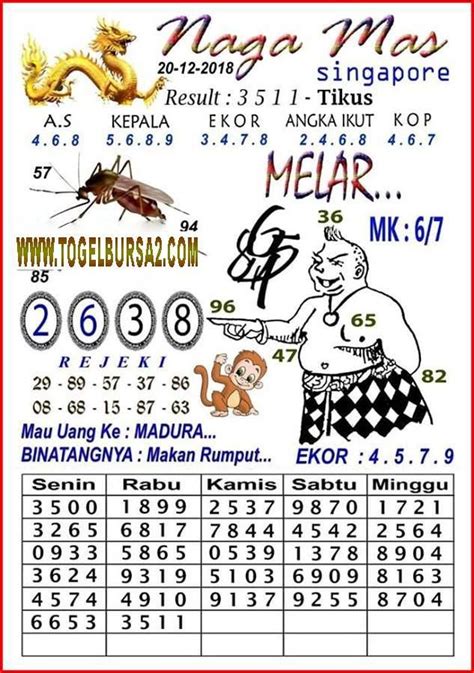 ck sdy hari ini