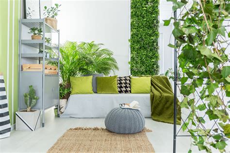 Botanical Living Room Stock Photo Download Image Now Istock