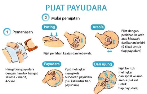 Bunda bisa memberikan contoh cara menyikat gigi yang benar terlebih dahulu sebelum meminta anak untuk melakukan tugasnya sendiri. Cara Memijat Payudara Yang Baik dan Benar