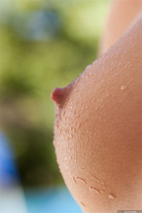 Nipples Close Up Telegraph