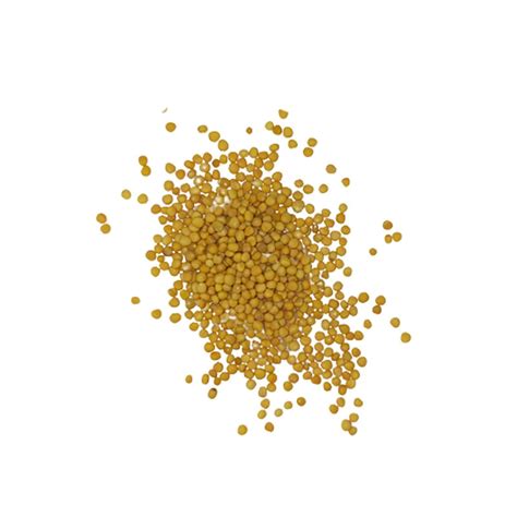 Yellow Mustard Seeds 50g 1 Palengke Delivery Online Safe Select