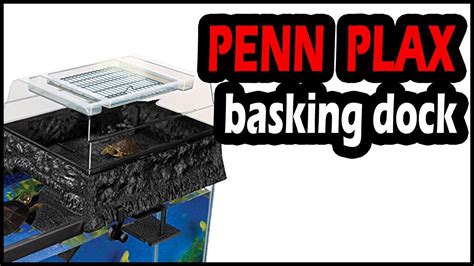 Penn Plax Turtle Topper Best Above Tank Basking Platform Youtube
