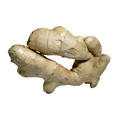 A Large Piece Of Yellow Ripe Old Ginger A Large Piece Mature Ginger
