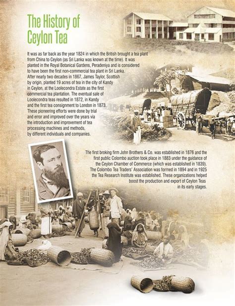 The History Of Ceylon Tea Ceylon Tea History Botanical Gardens