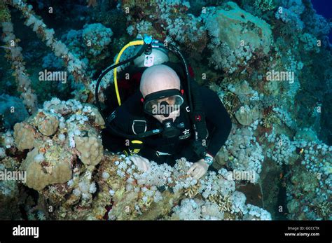 Scuba Diver At Numidia Wreck Hi Res Stock Photography And Images Alamy