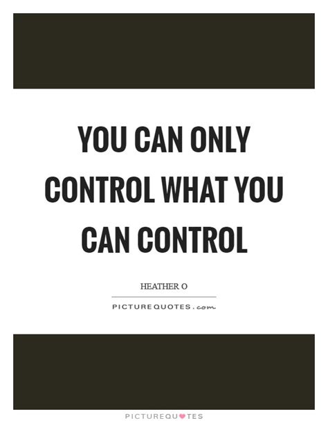You Can Only Control What You Can Control Picture Quotes