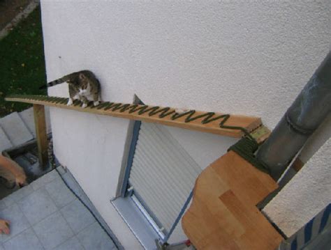 Lydiat's husband constructed this impressive kitty ramp from this. We Like: Cat Ladders! - Pet Project