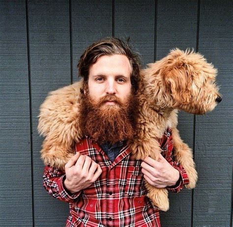71 Best Dog Bearding Images On Pinterest Dog Bearding Beard Style