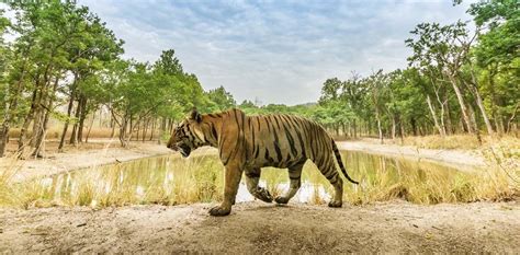 Tamil Nadus 18th Wildlife Sanctuary Opens In Erode