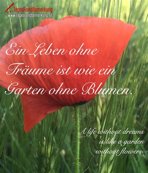 Sie kennen ein schönes zitat, dass zum thema garten passt? Zitate Garten Seele