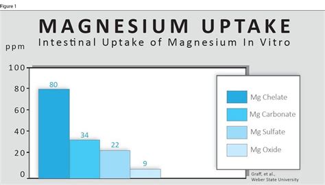 Essential Magnesium Provides Three Unique Forms Of Highly Absorbed