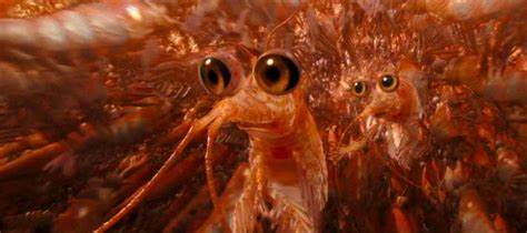 Picture Of Will The Krill