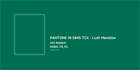 Pantone 18 5845 Tcx Lush Meadow Complementary Or Opposite Color Name