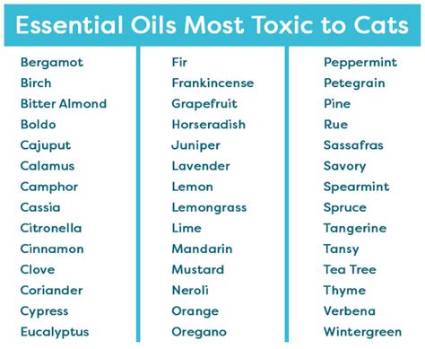 Are Essential Oils Toxic To Cats Find Out Which To Avoid •