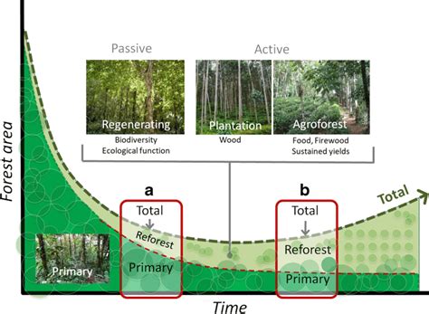 The Forest Transition Curve Reforestation And Deforestation The Upper