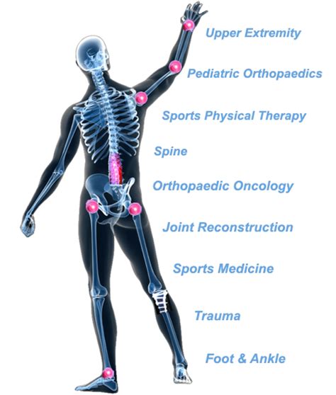 Using the latest orthopedic techniques, we help restore the maximum function possible in light of trauma or. Specialties | Orthopaedic Surgery & Sports Medicine