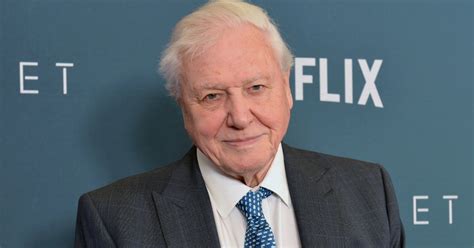 Planet Earth Narrator Sir David Attenborough Receives Lifetime