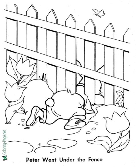 20 Fence Coloring Page Badarbouchra