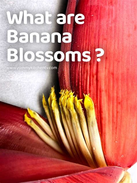 Banana Blossoms Or Banana Flowers Yummy Kitchen