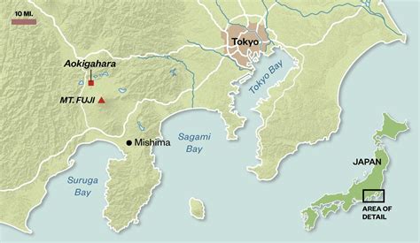 The city has a total area of 94,575,733.89 square miles (244950000 km2). Images of Mount Fuji | VolcanoCafe